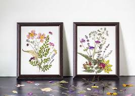 pressed flower art pictures so easy