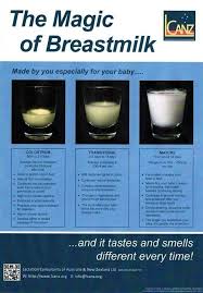 Stages Of Breastmilk Production Including Normal Milk