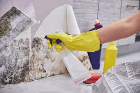 how to get rid of mold on walls easy