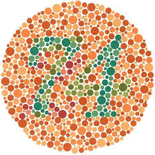 ishihara color blind test