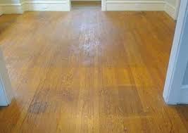 dustless hardwood floors your south