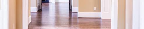 professional hardwood floor cleaning in
