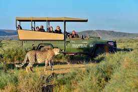 south africa must see places safari