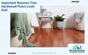 your hardwood floors look dull