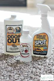 carpet cleaning solutions for busy