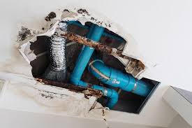 Plumbing Problems That Can Lead To Mold