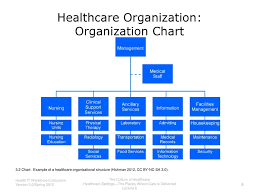 The Culture Of Healthcare Ppt Download
