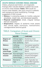 canine chronic kidney disease