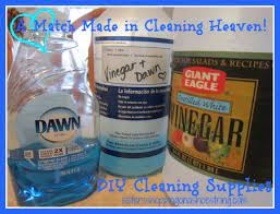 Cleaning Dream Team Vinegar And Dawn