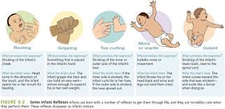 Infant Reflexes Newborn Nursing Medical Surgical Nursing