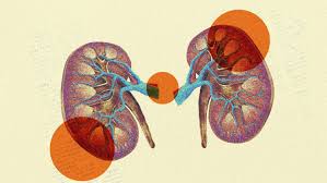 signs and symptoms of kidney disease
