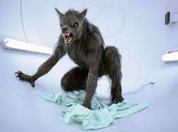 Via a bite or scratch from another werewolf). Werewolf Conference Will See Academics Shine A Light On Folkloric Shapeshifters The Independent The Independent