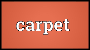 carpet meaning you
