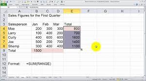 using the sum function in excel you