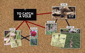 how to get rid of voles in the garden