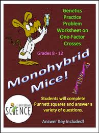 Long (l) and short (l). Free Science Lesson Monohybrid Mice Monohybrid Genetics Problems The Best Of Teacher Entrepreneurs Marketing Cooperative