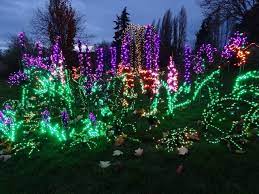 the garden christmas light displays at