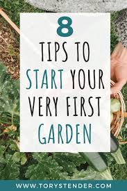 Guide To Plant Your First Garden