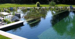Natural Swimming Pools Diy Or Pro