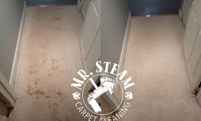 mr steam carpet cleaning up to 43