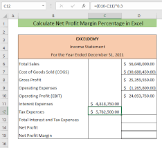 calculate net profit margin percene