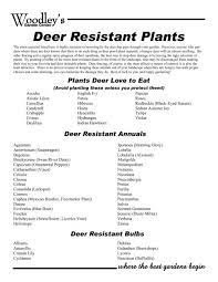 Deer Resistant Plants Woodley S