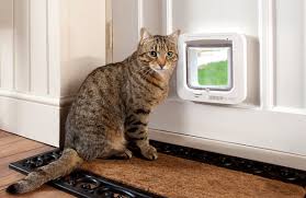 Sureflap Microchip Cat Door The