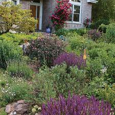 Gorgeous Drought Tolerant Garden Plans