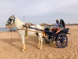 رحلة ركوب الخيل على شاطئ البحر فى شرم الشيخ