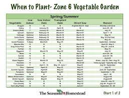 When To Plant Vegetables In Zone 6