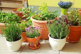 10 Easy Kitchen Herb Garden Ideas To