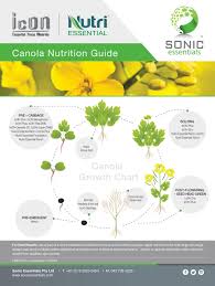 nutrition guides sonic essentials