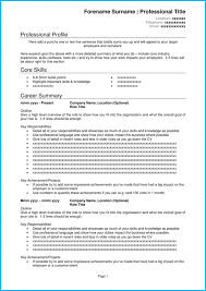 Your cv is the only chance to make a favorable first impression on. Blank Cv Template 8 Cv Examples Download Get Noticed