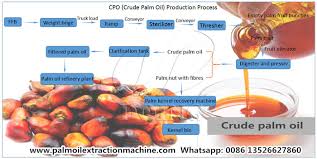 Process Flow Diagram Of Palm Oil Mill Plant_faq