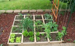 Square Foot Gardening Ideas And Tips