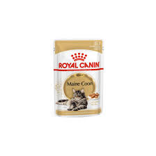 royal canin maine 85 g wet cat food