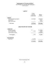 Home decorating style 2021 for trust financial statements sample, you can see trust financial statements sample and more pictures for home interior designing 2021 14659 at resume example ideas. Harrisburg School District 2013 Financial Statements