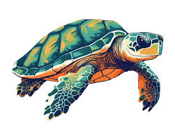 100 000 Green Sea Turtle Vector Images