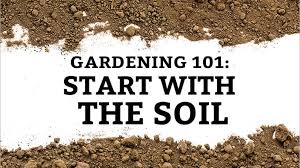 Soil Preparation How To Create Healthy