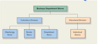 Solved Buckeye Department Stores Inc Operates A Chain O