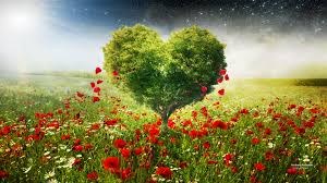 391019 green love heart tree poppies 4k