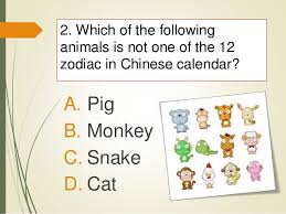 Have fun making trivia questions about swimming and swimmers. Chinese New Year Quiz