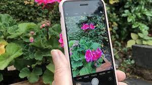 This a flower identifier (and plant identification in general) app for iphone. Plant Identification And Advice At Your Fingertips