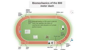 biomechanics of the 800 meter dash by