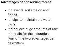 conservation of forest brainly