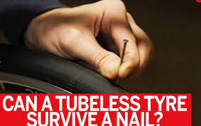 can a less tyre survive a nail