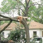 We can help you with. Mike S Tree Service In Virginia Beach Vbtreeservice Profile Pinterest