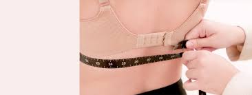 How To Measure Bra Size Bra Fit Style Guide Nordstrom
