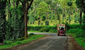 bangalore to coorg a road trip like no
