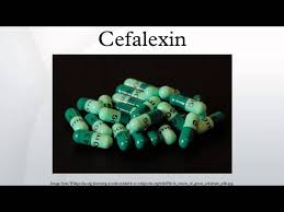 Take cephalexin at around the same times every day. Cefalexin Youtube